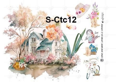 S-Ctc12