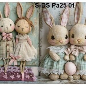 S-DS-Pa25-01