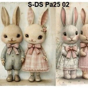 S-DS-Pa25-02