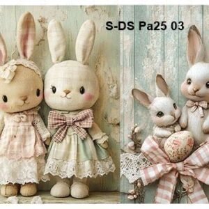 S-DS-Pa25-03