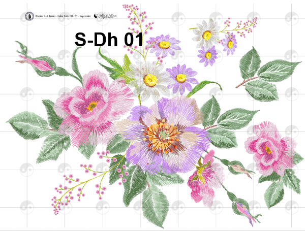 S-Dh01