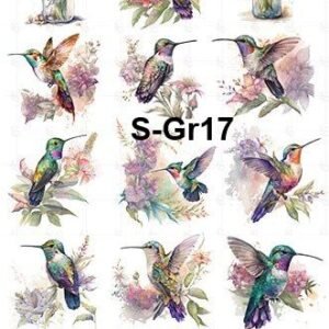 S-Gr-17