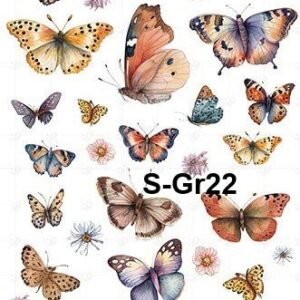 S-Gr-22