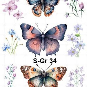 S-Gr-34