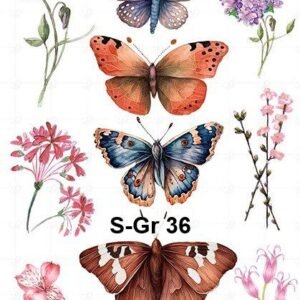 S-Gr-36