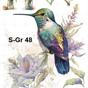 S-Gr-48
