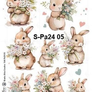 S-Pa24-05