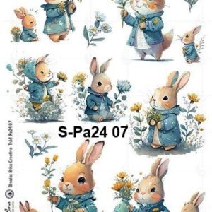 S-Pa24-07