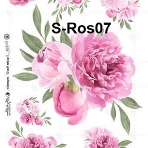 S-Ros07