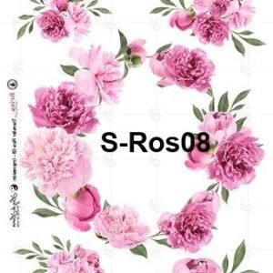S-Ros08