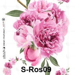 S-Ros09