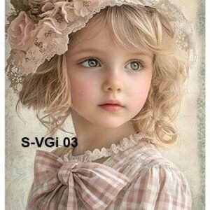 S-VGi-03