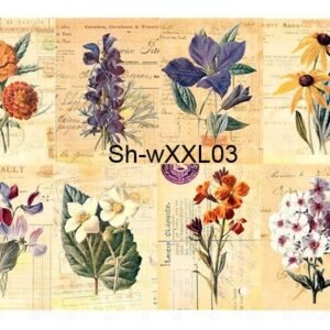 Sh-XXL03