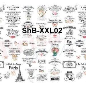 ShB-XXL02