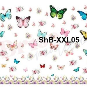 ShB-XXL05
