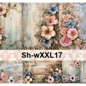 ShB-XXL17