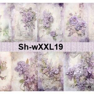 ShB-XXL19