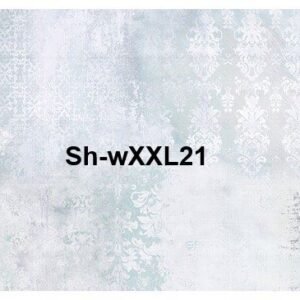 ShB-XXL21