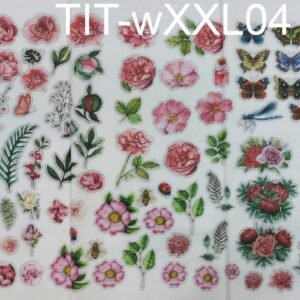 TIT-WXXL04