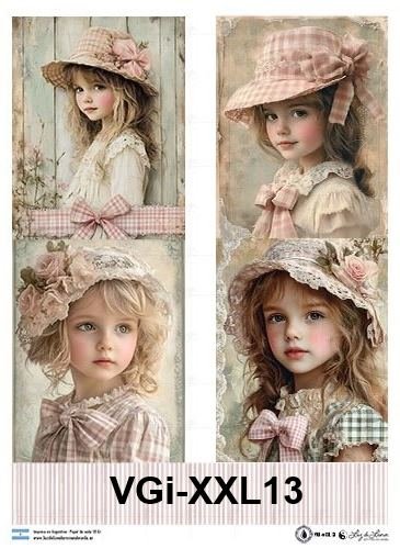 VGi-XXL13