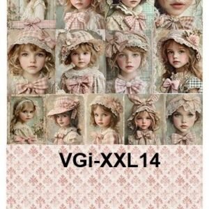VGi-XXL14