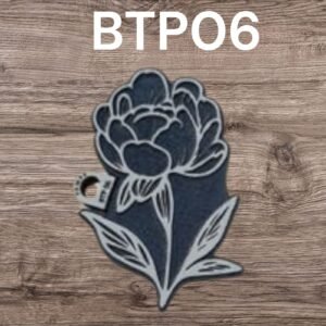 BTP06