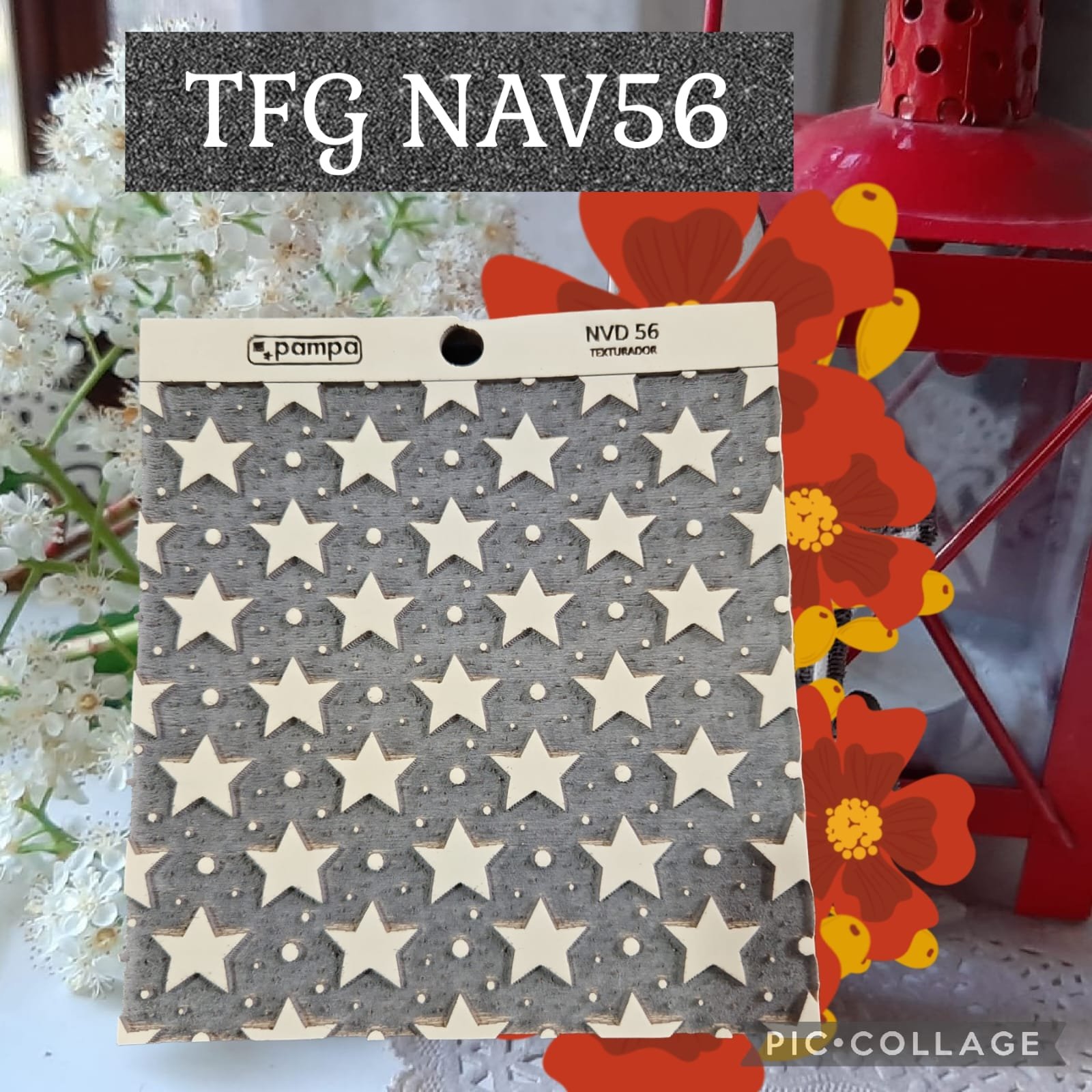TFG56