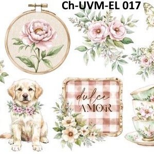 UVM-EL 017 Mujeres del Mundo