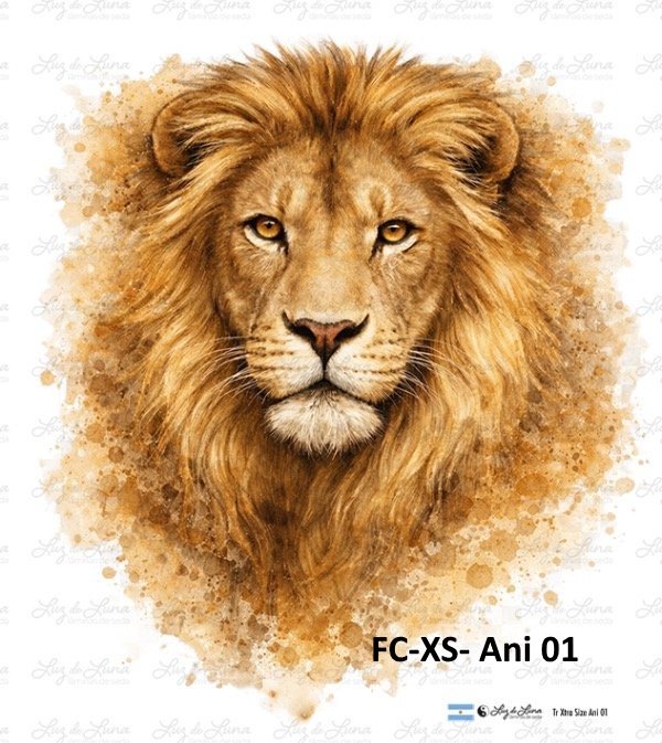 FC-XS- Ani 01