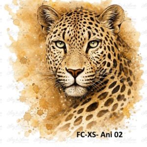 FC-XS- Ani 02
