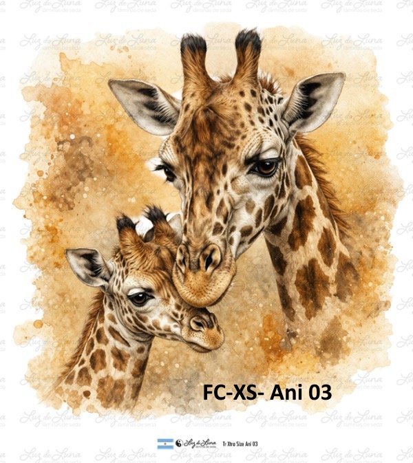 FC-XS- Ani 03
