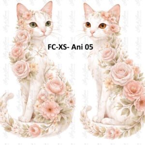 FC-XS- Ani 05