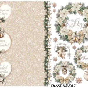 Ch-SST-NAV017