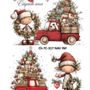 Ch-TC-317 NAV INF