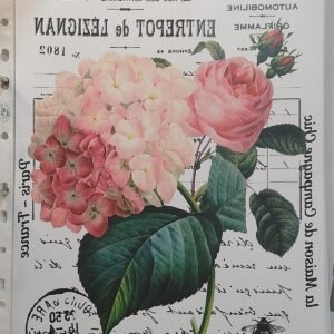 T-1241
