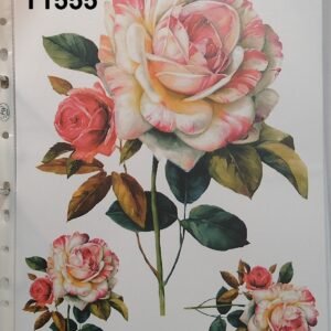 T-1555