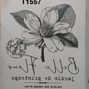 T-1557
