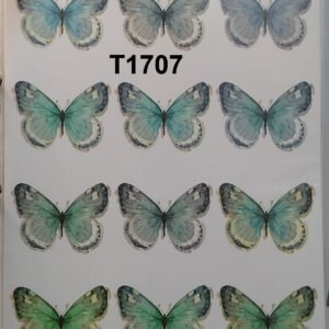 T-1707