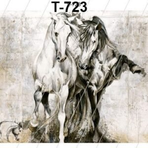 T-723